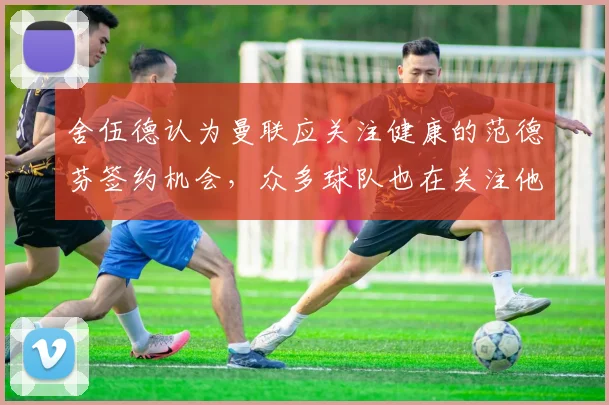 舍伍德认为曼联应关注健康的范德芬签约机会，众多球队也在关注他